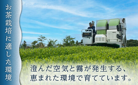 【有機栽培茶】一煎茶 ティーバッグ 贅沢 7種 飲み比べ セット （各3g×10個入）【宝緑園】 [QAH031] [QAH031]