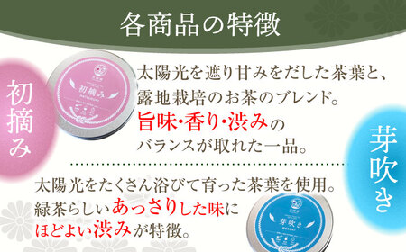 【有機栽培茶】一煎茶 ティーバッグ 4種 飲み比べ セット （各3g×10個入）【宝緑園】 [QAH033] [QAH033]