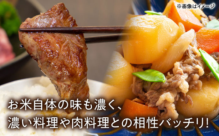 長崎県産こしひかり5kg【酒のタナカ】 [QAM018] 米 コシヒカリ 長崎県産 お米 5キロ 5kg