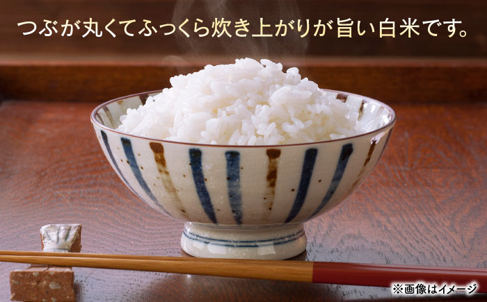 長崎県産にこまる5kg [QAM019]