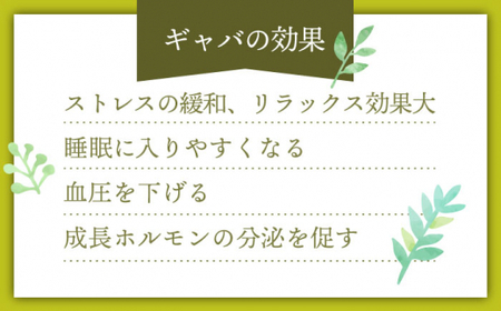 【心からのリラックスを】釜炒り ギャバロン 茶 ティーバッグ 30個入×2袋【上ノ原製茶園】 [QAO012] [QAO012] お茶 緑茶 茶葉 お茶 茶 ティーパック ギフト