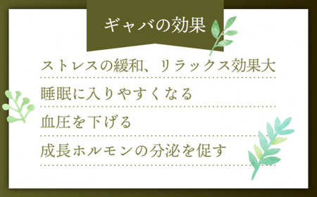 【手軽に本格的な味わいを】釜炒り茶 こだわり ティーバッグ セット 各種30個入×1袋【上ノ原製茶園】 [QAO028] [QAO028]