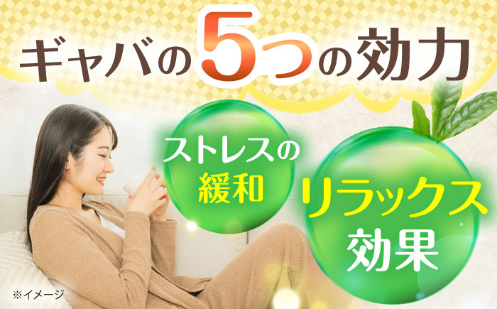 GABA珈琲ティーバッグ10個入×3パック [QAO039]