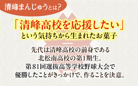 【当店自慢】こだわりの清峰まんじゅう 10個入り【栗まんじゅう本舗　小田製菓】 [QAR016] [QAR016]