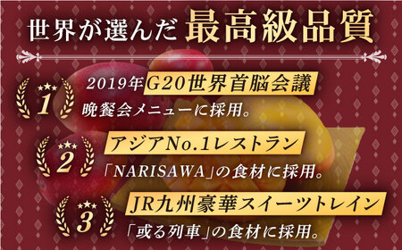 【極上完熟マンゴー使用】完熟プレミアム プリンセス マンゴー カレー 200g×5袋 【堀内フルーツファーム】 [QAT010] [QAT010]