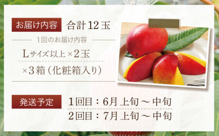 【数量限定・全2回定期便】【先行予約】プリンセス マンゴー オーナー制度 （ハーフプラン） 計12個 完熟マンゴー 高品質マンゴー まんごー【堀内フルーツファーム】 [QAT011] [QAT011]