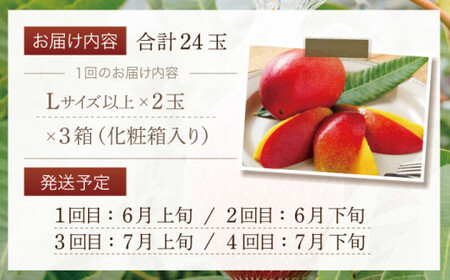 【数量限定・全4回定期便】【先行予約】プリンセス マンゴー オーナー制度 （マイオーナープラン） 計24個 完熟マンゴー 高品質マンゴー まんごー 20万円 200000円【堀内フルーツファーム】 [QAT012] [QAT012]