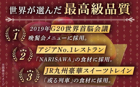 【訳あり】【心地よい至福の果肉感！】完熟プレミアム プリンセスマンゴー 不揃い3000g【堀内フルーツファーム】 [QAT015] [QAT015]