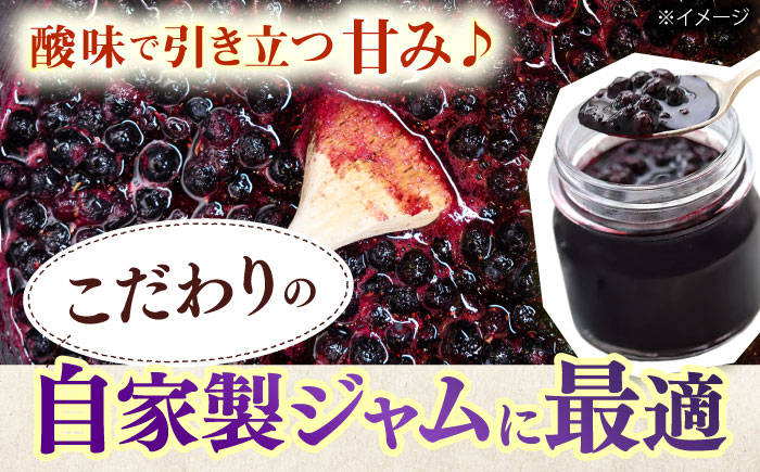 佐々町産訳あり冷凍ブルーベリー1kg [QAT019]
