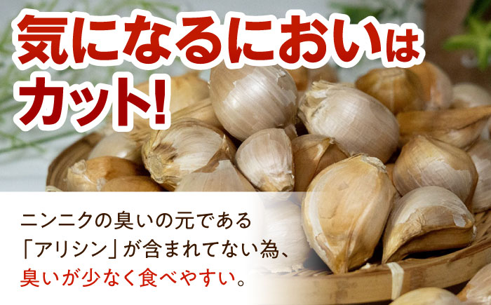 佐々町産ジャンボニンニク1kg [QAT021]