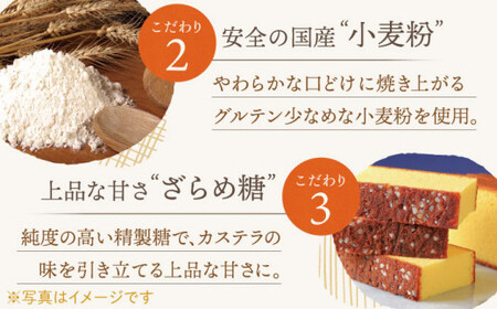 【全3回定期便】「こだわりの逸品」長崎 カステラ  [1.2号] 計6本（0.6号10切入×2本入/回）【文明堂総本店】 [QAU020] [QAU020]