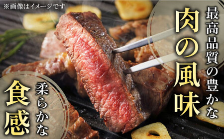 【全6回定期便】「希少部位 食べ比べ 」長崎和牛 贅沢 ステーキ 5種 堪能セット 計10.2kg （約1.7kg/回）【黒牛】 [QBD069] [QBD069]