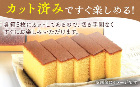 長崎 カステラ ざんまい 5枚カット×2箱 （ハニー×2） [QBL005]