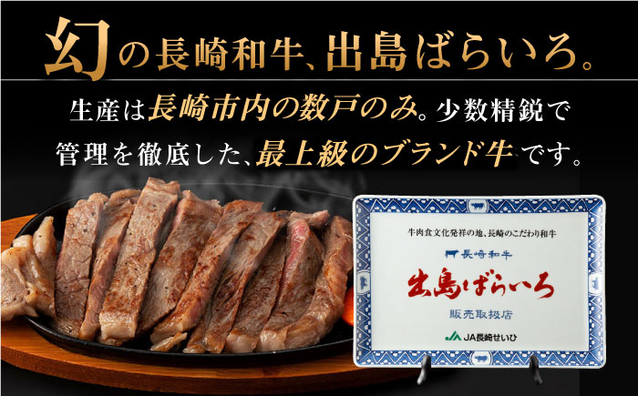【全6回定期便】長崎和牛 出島ばらいろ  サーロイン ステーキ500g（250g×2枚） [QBN020] [QBN020]