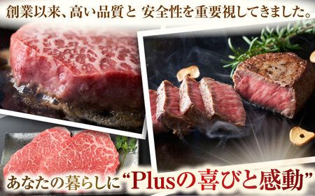【全6回定期便】【A4～A5】長崎和牛モモステーキ　約1.5kg（100g×15p）【株式会社 MEAT PLUS】 [QBS112] [QBS112]