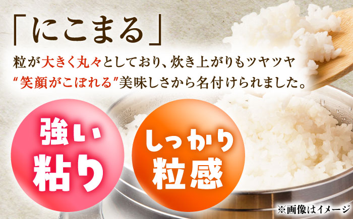 【R7年度産・白米】長崎県佐々町産「にこまる」10kg(5kg×2袋) [QCD002]