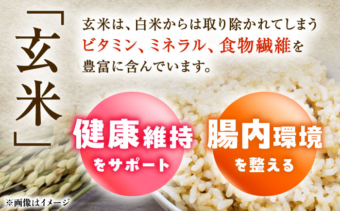 【R7年度産・玄米】長崎県佐々町産「にこまる」15kg(5kg×3袋) [QCD003]