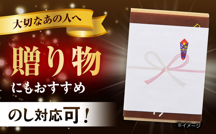 長崎和牛特選ハンバーグ150g×15 [QAA038]