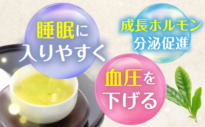 GABA珈琲ティーバッグ10個入×3パック [QAO039]