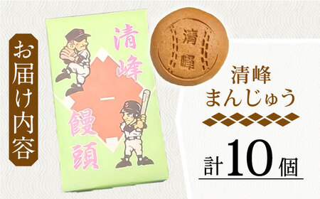 【当店自慢】こだわりの清峰まんじゅう 10個入り【栗まんじゅう本舗　小田製菓】 [QAR016] [QAR016]