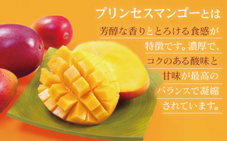 【数量限定・全4回定期便】【先行予約】プリンセス マンゴー オーナー制度 （マイオーナープラン） 計24個 完熟マンゴー 高品質マンゴー まんごー 20万円 200000円【堀内フルーツファーム】 [QAT012] [QAT012]