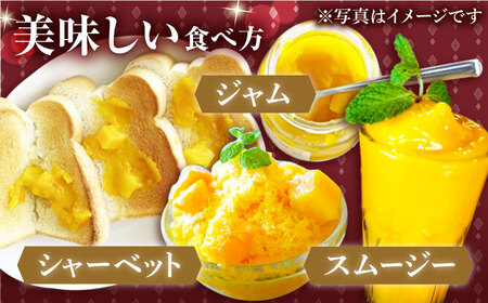 【先行予約】【冷凍】プリンセスマンゴー 約3kg [QAT014] [QAT014]