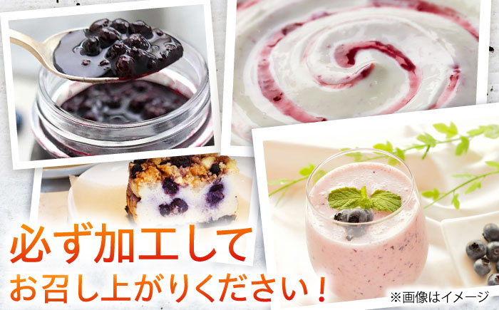 佐々町産訳あり冷凍ブルーベリー1kg [QAT019]