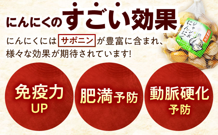 佐々町産ジャンボニンニク1kg [QAT021]