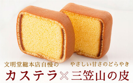 【全3回定期便】「贈り物やお土産に！」カステラ巻 計72個（24個×3回）【文明堂総本店】 [QAU015] [QAU015]