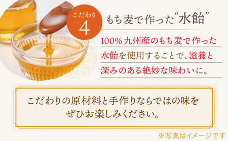 【全12回定期便】「こだわりの逸品」長崎 カステラ  [1.2号] 計24本（0.6号10切入×2本入/回）【文明堂総本店】 [QAU022] [QAU022]