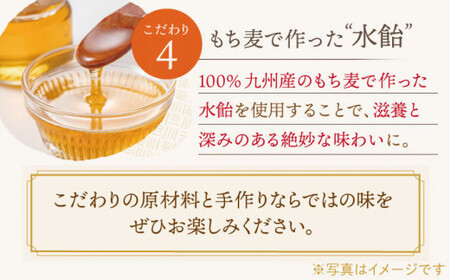【全6回定期便】「こだわりの逸品」長崎カステラ［2号] 計12本（1号10切入×2本入/回）【文明堂総本店】 [QAU024] [QAU024]
