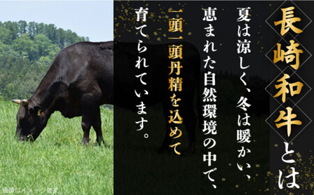 【肉の旨味がギュギュっと！】長崎和牛 ローストビーフ 用 ブロック 計1kg （約500g×2）【黒牛】 [QBD017] [QBD017]