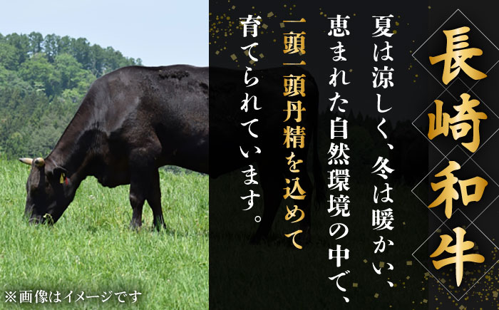 【3回定期便】長崎和牛　ハンバーグ　10個入り（各200g）【黒牛】 [QBD080]