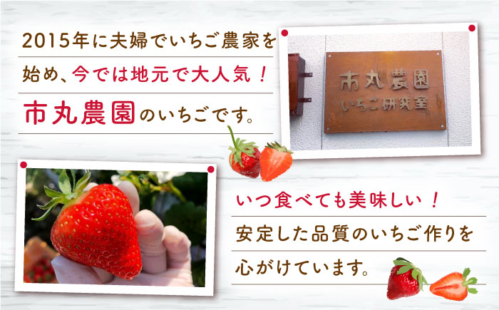 手作りいちごジャム 計360ｇ(120g×3個)【市丸農園 いちご研究室】 [QBF005] [QBF005]