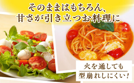 【先行予約】ミニトマト 小鈴キング 1kg【C&T farm】 [QBG003] [QBG003] トマト ミニ トマト 小鈴キング トマト 人気 リピート