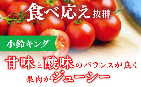 【先行予約】ミニ トマト アイコ＆小鈴キング 総計4.5kg [QBG004] トマト ミニ とまと 野菜 トマト