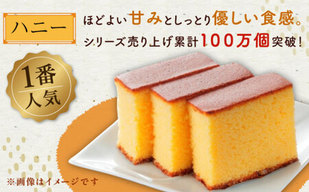 長崎 カステラ ざんまい 5枚カット×2箱 （ハニー×2） [QBL005]