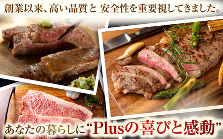 【A4～A5】長崎和牛サーロインステーキセット　500g（250g×2枚）【株式会社 MEAT PLUS】 [QBS014] [QBS014]