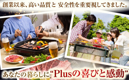 【全6回定期便】【A4～A5】長崎和牛焼肉用　500g【株式会社 MEAT PLUS】 [QBS034] [QBS034]