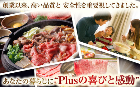 【全3回定期便】【訳あり】【A4～A5】長崎和牛しゃぶしゃぶすき焼き750gセット【株式会社 MEAT PLUS】 [QBS090] [QBS090]