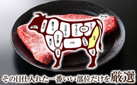 【全6回定期便】【A4～A5】長崎和牛モモステーキ　約500g（100g×5p）【株式会社 MEAT PLUS】 [QBS106] [QBS106]