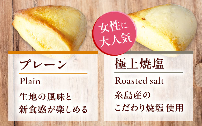 【全6回定期便】【卵不使用！】生スコーン プレーン・極上焼塩 2種10個セット [QBZ007]