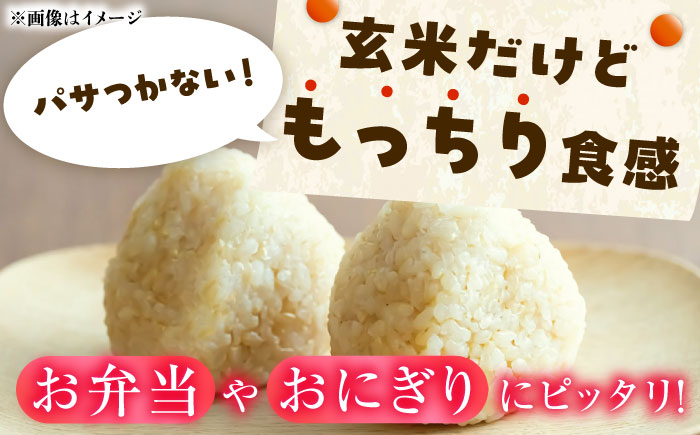 【R7年度産・玄米】長崎県佐々町産「にこまる」15kg(5kg×3袋) [QCD003]