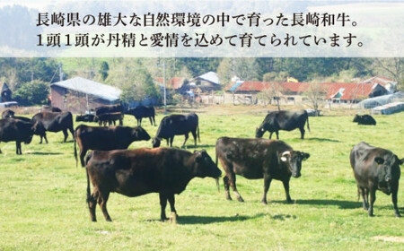 【希少部位 ヒレ 入り】特選 赤身 サイコロステーキ セット（ヒレ・モモ） 計360g (120g×3パック)【肉のあいかわ】 [QAA001] [QAA001]