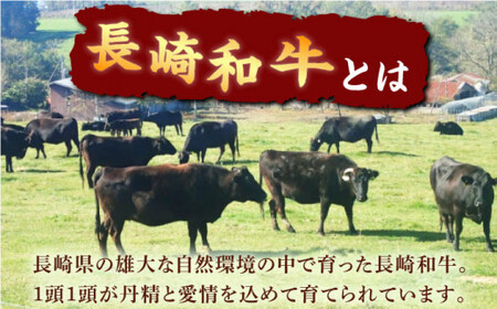 【最高級A5のみを厳選】長崎和牛 レモン ステーキ（うで・みすじ） 約500g【肉のあいかわ】 [QAA005] [QAA005]