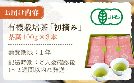 【こだわりブレンド茶】さざの 有機栽培茶 初摘み 100g×3本【宝緑園】 [QAH002] [QAH002]