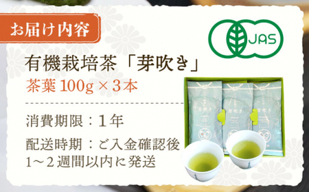【爽やかな旨味】さざの 有機栽培茶 芽吹き 100g×3本【宝緑園】 [QAH006] [QAH006] お茶 緑茶 茶葉 お茶 茶 ティーパック ギフト