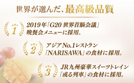 【数量限定・全4回定期便】【先行予約】プリンセス マンゴー オーナー制度 （マイオーナープラン） 計24個 完熟マンゴー 高品質マンゴー まんごー 20万円 200000円【堀内フルーツファーム】 [QAT012] [QAT012]