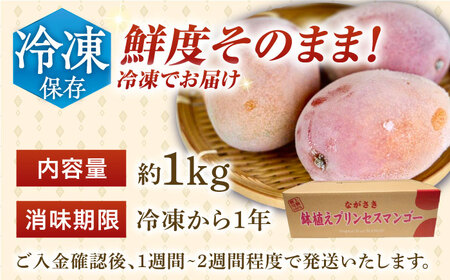 【先行予約】【冷凍】プリンセスマンゴー 約1kg [QAT013] [QAT013]
