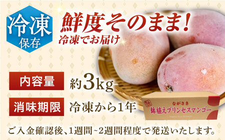 【先行予約】【冷凍】プリンセスマンゴー 約3kg [QAT014] [QAT014]